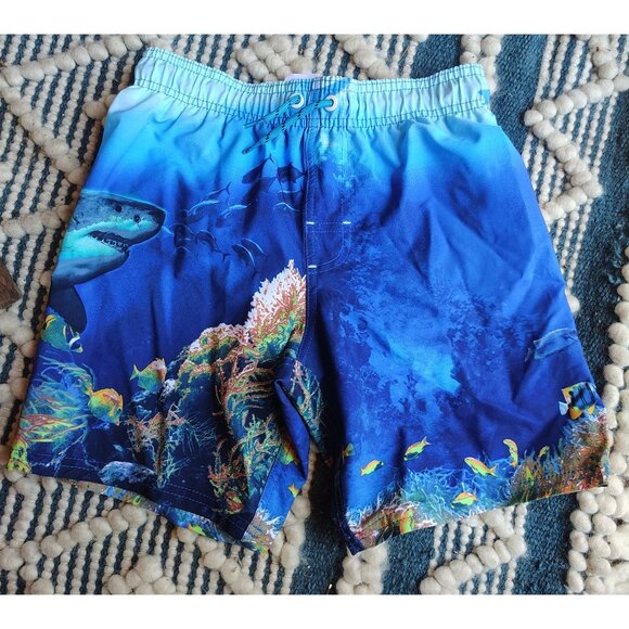 Boys Blue Rash Gaurd and Shark Swim Trunks Set 8 - Bathing suit Ocean Beach Pool - Picture 4 of 7